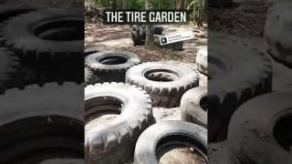 Our free for all Tire Garden…like rocks but without the damage #shorts  #offroading   W2WParks.com